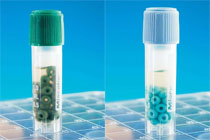 菌株保藏：细菌低温保藏