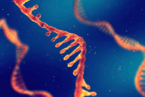 PCR产物回收（试剂盒法）