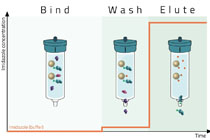 蛋白纯化：Ni-NTA重力柱亲和层析纯化带有His标签的蛋白