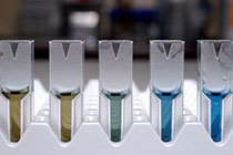 蛋白浓度测定：Bradford法（试剂盒）