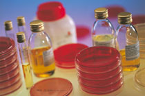 常用培养基配制方法