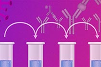 样本如何准确的稀释定量