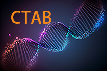 CTAB法提取食用菌样本基因组DNA（非试剂盒法）