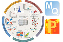 MaxQuant蛋白质组数据分析-简易教程