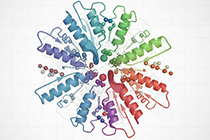 AlphaFold3：结果分析（准确度和置信度评估）